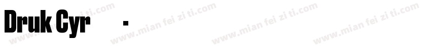 Druk Cyr 字体家族所有风格字体转换